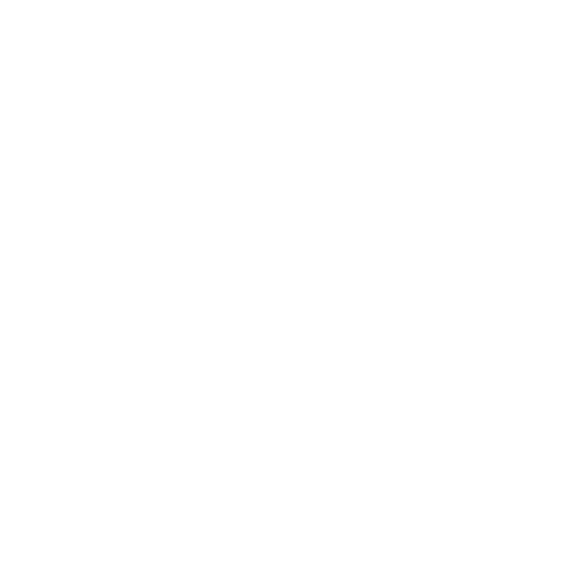Dynamic Aviation - Innovation Takes Flight