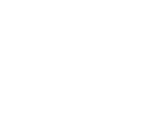 Dynamic Aviation white stacked logo