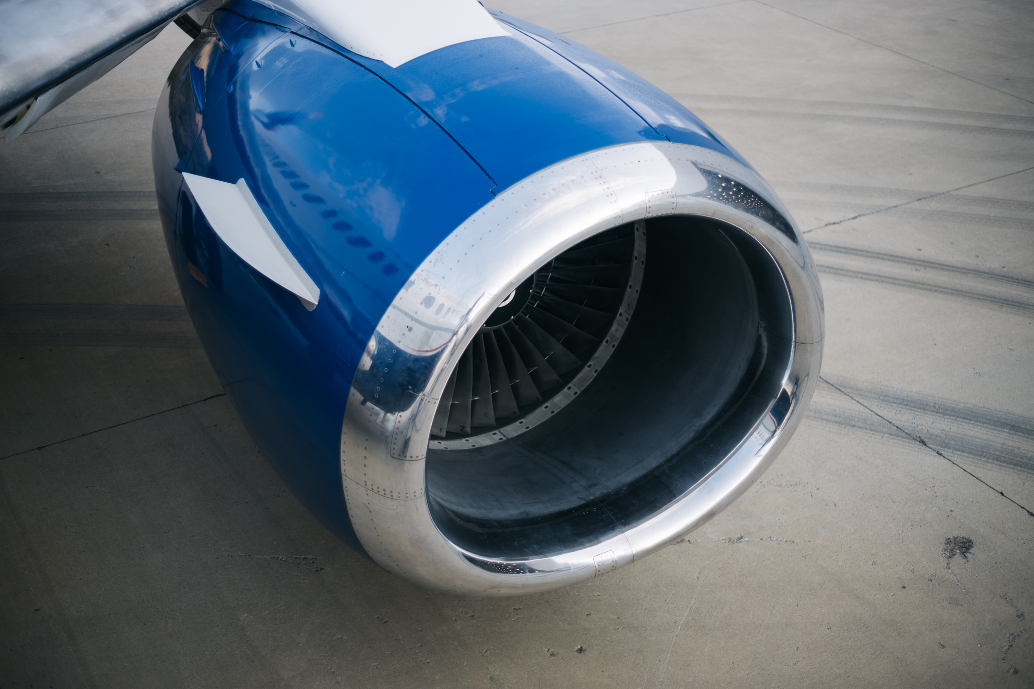 6P3A8737